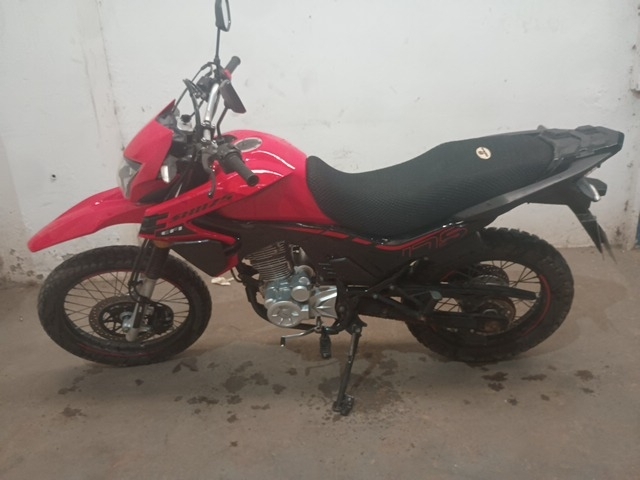 LOTE 026 SHI 175 2024/2025